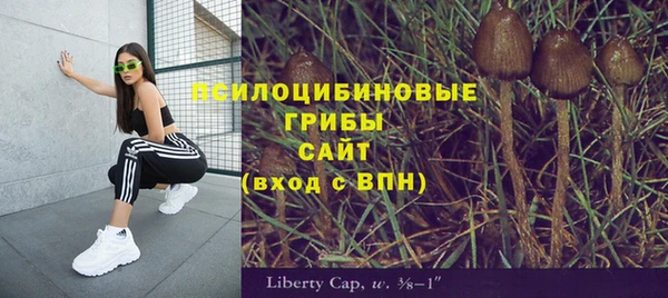 мескалин Балахна