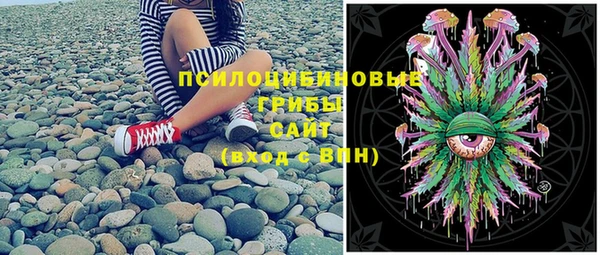 дживик Баксан