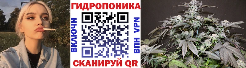 Канабис конопля  Радужный 